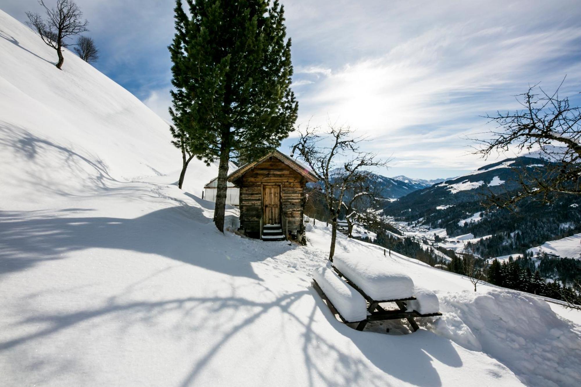 Apartamento Siedlerhof Hopfgarten im Brixental Exterior foto