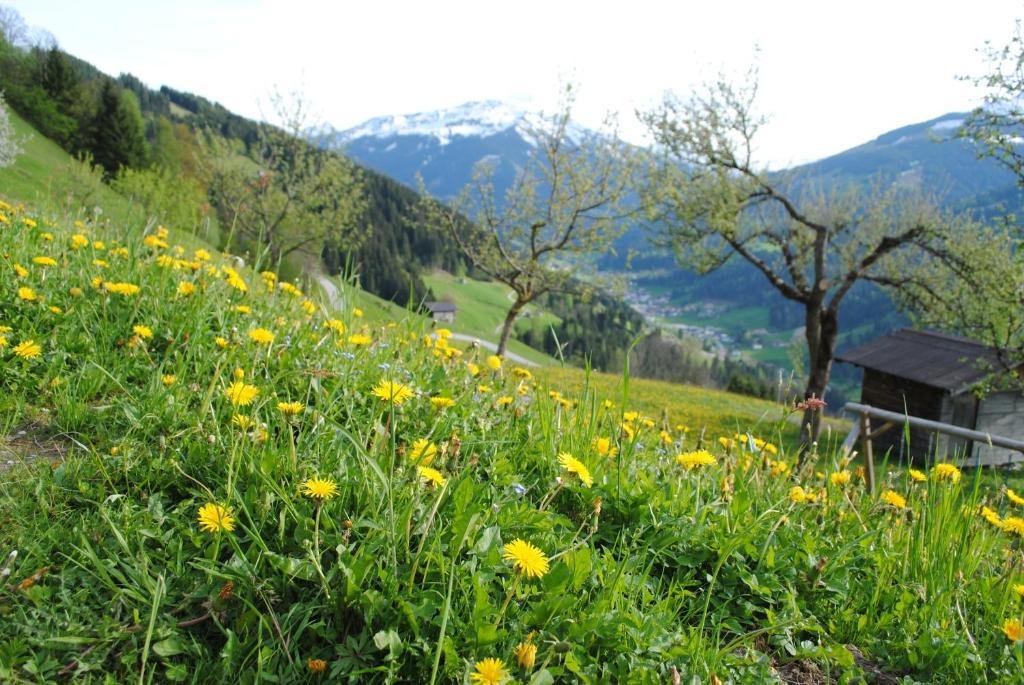 Apartamento Siedlerhof Hopfgarten im Brixental Exterior foto